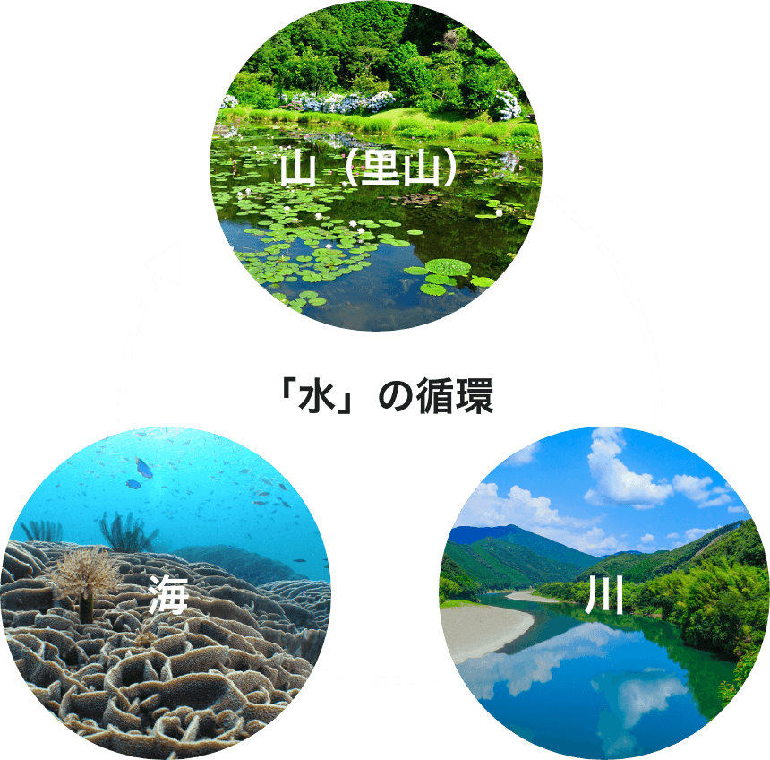 「水」の循環