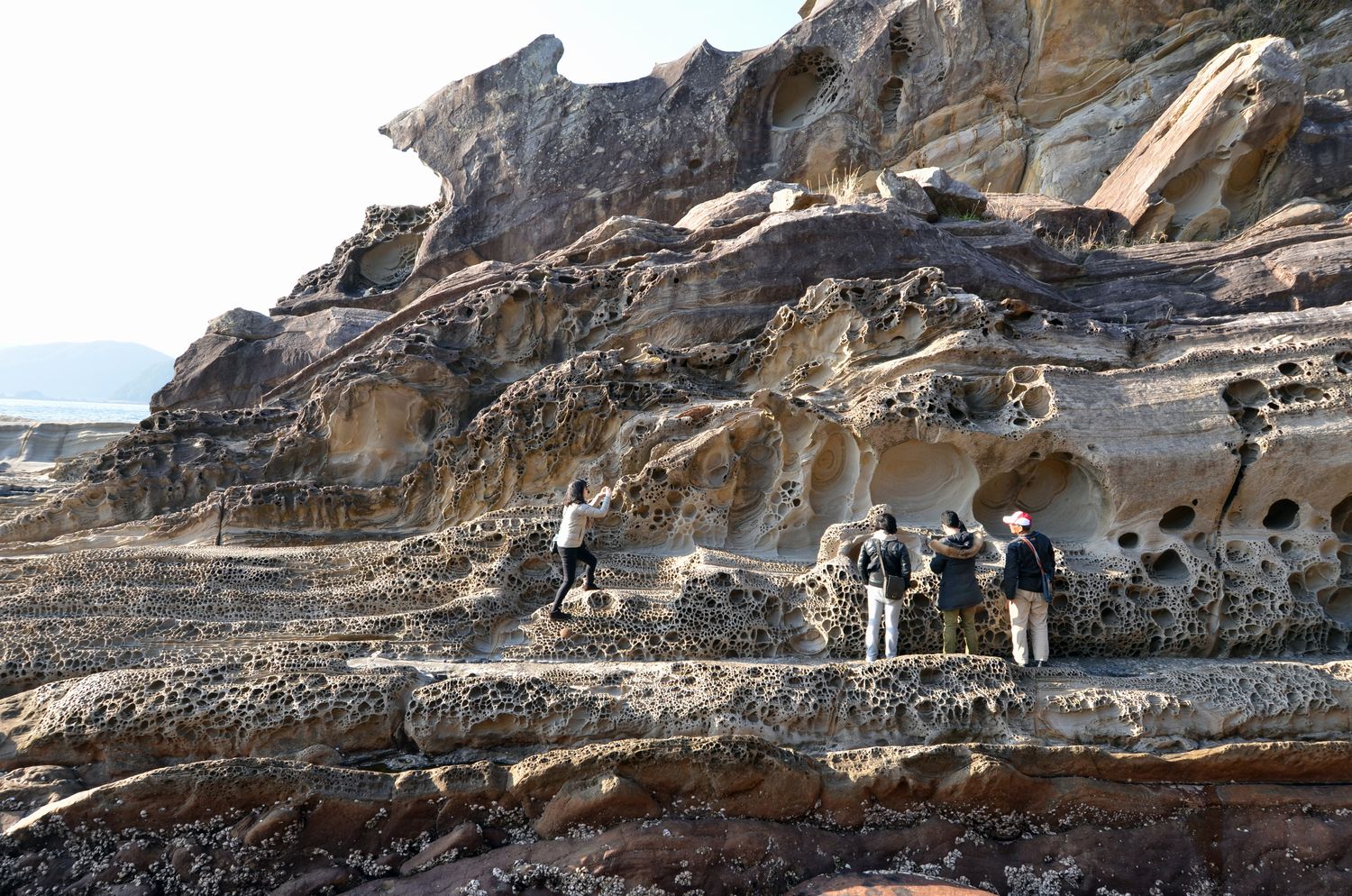 擬岩 No.15 竜串・見残し奇岩パークツアー - 高知県 教育・団体旅行／はた旅